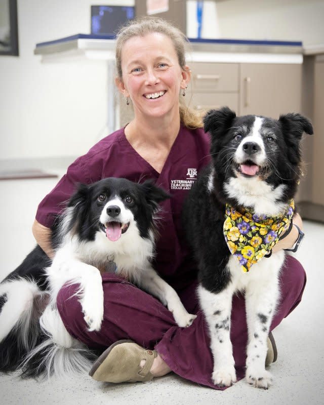 Dr. Kate Creevy is the chief veterinary officer of the Dog Aging Project and a professor of small animal internal medicine at Texas A&ampM University School of Veterinary Medicine &amp Biomedical Sciences. Photo courtesy of the Texas A&ampM University School of Veterinary Medicine &amp Biomedical Sciences