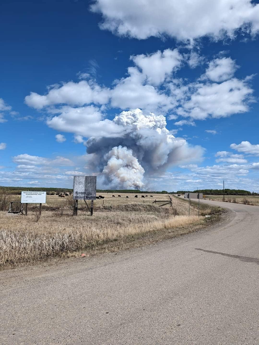 A wildfire near the Doig River First Nation reserve, near Fort St. John, B.C., is pictured on Monday. The fire led to an evacuation order for the entire community. (Submitted by Marlene Benson - image credit)