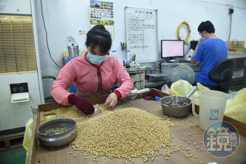 蔡一宏的分裝廠裡，員工挑選出的格外品，將成為帕修斯雞的伙食。