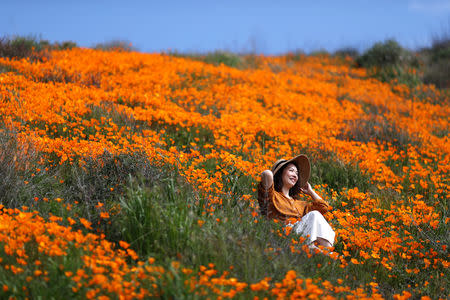 A woman sits in a super bloom of poppies in Lake Elsinore, California, U.S., February 27, 2019. REUTERS/Lucy Nicholson