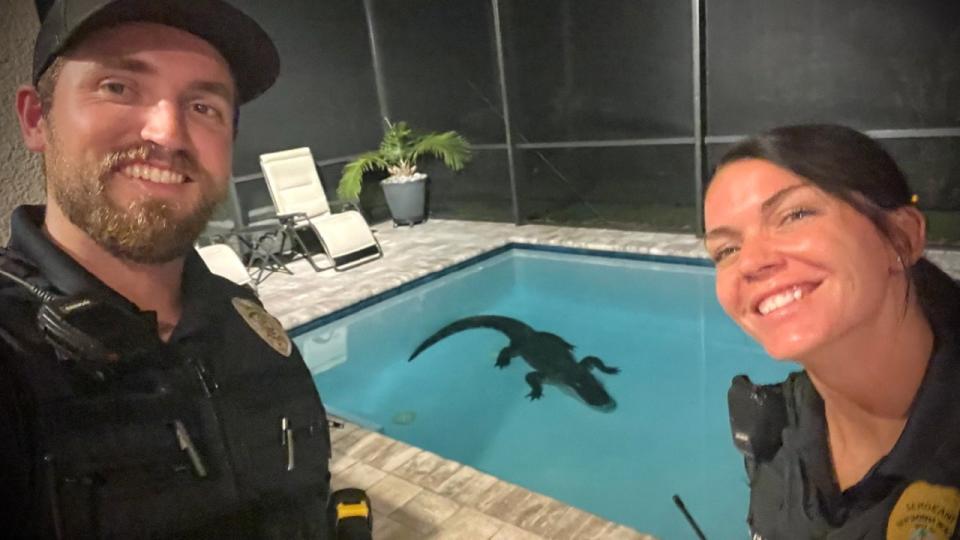 <div>An alligator was removed from a Florida homes pool overnight on May 21, 2024. (Photo: New Smyrna Beach Police Department)</div>