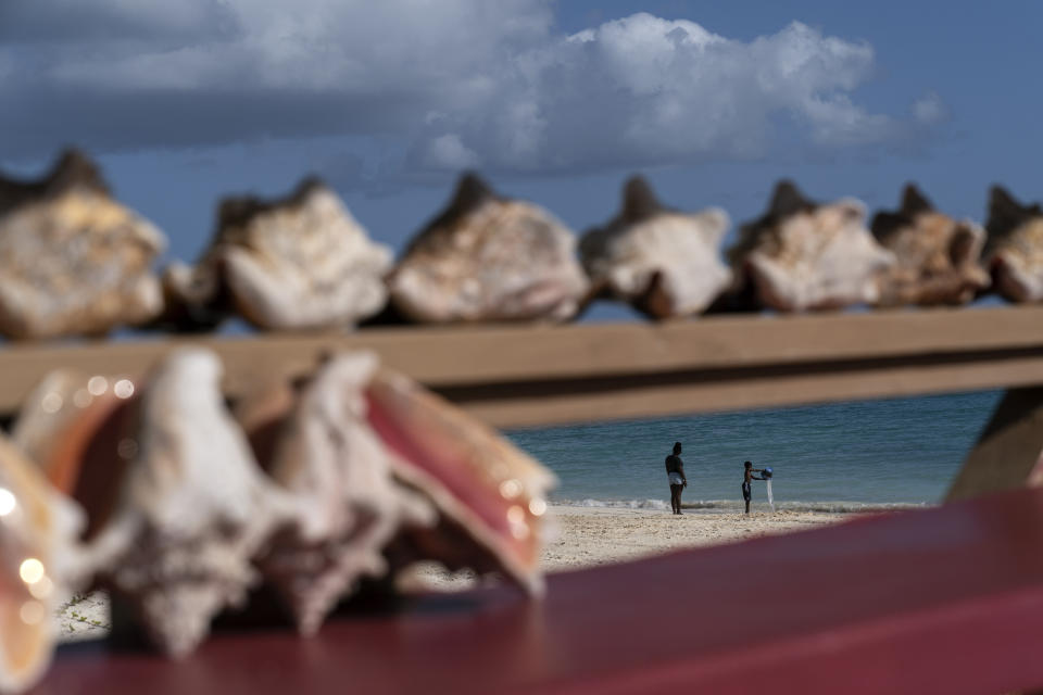 A young boy plays by the sea as conch shells line the porch of a restaurant in Freeport, Grand Bahama Island, Bahamas, Sunday, Dec. 4, 2022. The meat of the conch itself is worth millions per year at the docks, but it's also a key driver of tourism to the islands, in addition to being an important export item to the U.S. and many other countries where conch is a delicacy. (AP Photo/David Goldman)