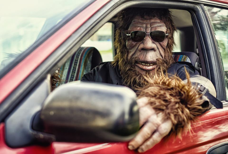 A Sasquatch Bigfoot gorilla type character driving a small car. Processed with a retro/vintage look. Suit is custom made with property release from creator.