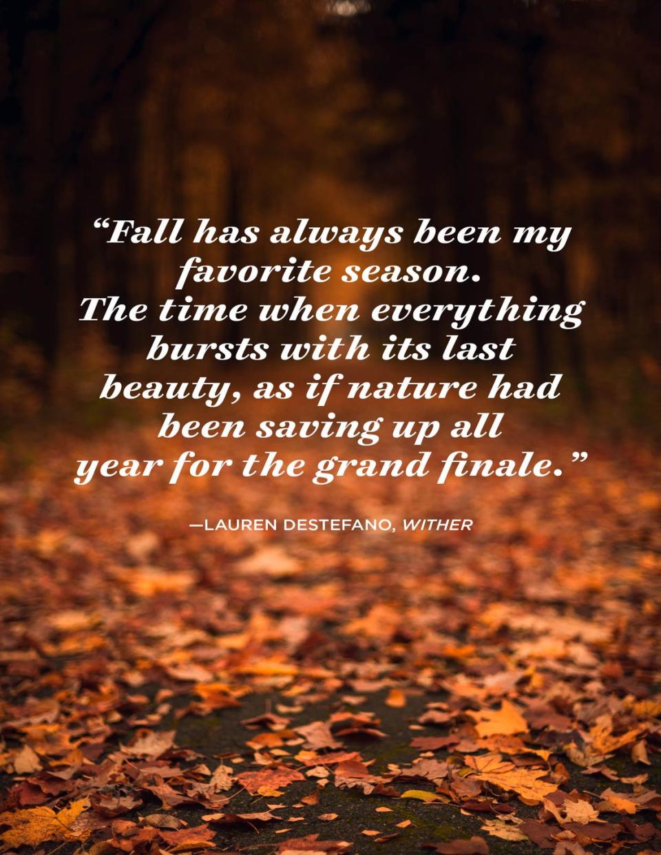 <p>“Fall has always been my favorite season. The time when everything bursts with its last beauty, as if nature had been saving up all year for the grand finale.”</p>