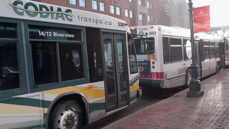 Codiac Transpo, after rough summer, creates cushion against driver shortages