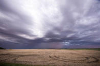 <p>The rare cloud formation, known as <em>undulatus asperatus,</em> is the newest cloud type in over 60 years.(Photo: Mike Olbinski/Caters News) </p>