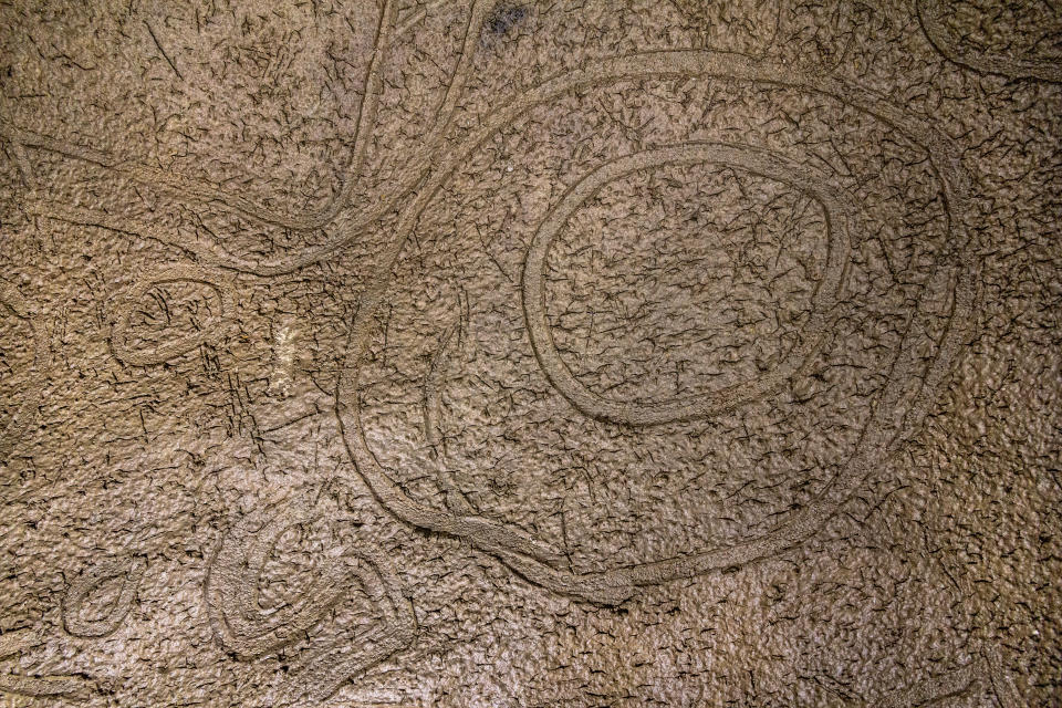 In Ojo Guarena Cave in Spain, the engraved spiral and concentric circle symbols, dating to around 11,000 years ago, are some of the rarest of the 32 geometric signs used by early humans during the Ice Age.  (Dillon von Petzinger)