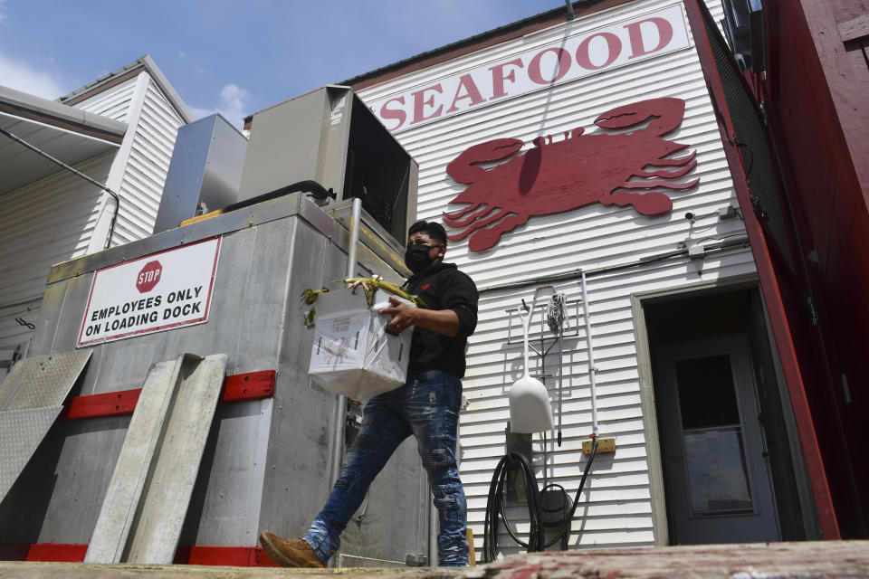 Imagen del Howard Center for Investigative Journalism que muestra a un empleado de Lindy's que carga mercadería en un camión el 21 de abril del 2021 en Woolford, Maryland. (Carmen Molina Acosta/Universidad de Maryland vía AP)