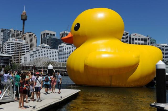 CELEBRATE: Freedom Swim crosses the harbor for its 32nd year