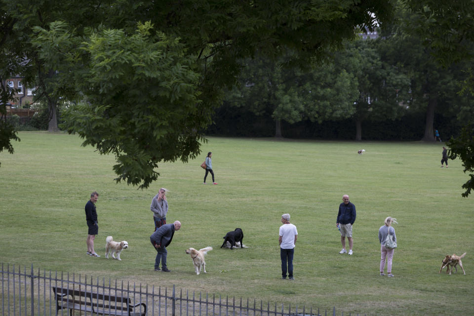 During the UK's government's Coronavirus continuing lockdown restrictions, when a total of 36,393 UK citizens are now reported to have lost their lives, dog walkers practice social distancing rules by standing metres apart while their pet dogs socialise in Ruskin Park, a public green space in the south London borough of Lambeth, on 22 May 2020, in London, England. (Photo by Richard Baker / In Pictures via Getty Images)