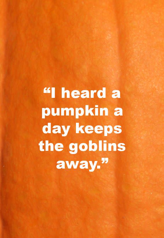 3) I Heard a Pumpkin a Day Keeps the Goblins Away