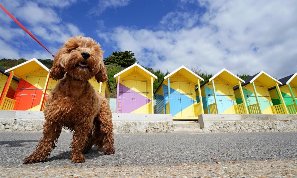 The newly refurbished beach huts in Folkestone, Kent (PA)