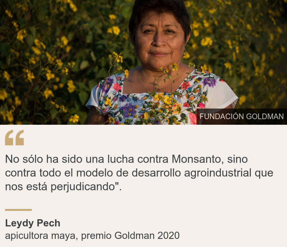 "No sólo ha sido una lucha contra Monsanto, sino contra todo el modelo de desarrollo agroindustrial que  nos está perjudicando".", Source: Leydy Pech, Source description: apicultora maya, premio Goldman 2020, Image: Leydy Pech