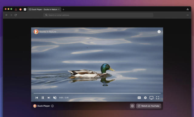 DuckDuckGo's privacy-focused browser is now available for Windows users in  beta - The Verge