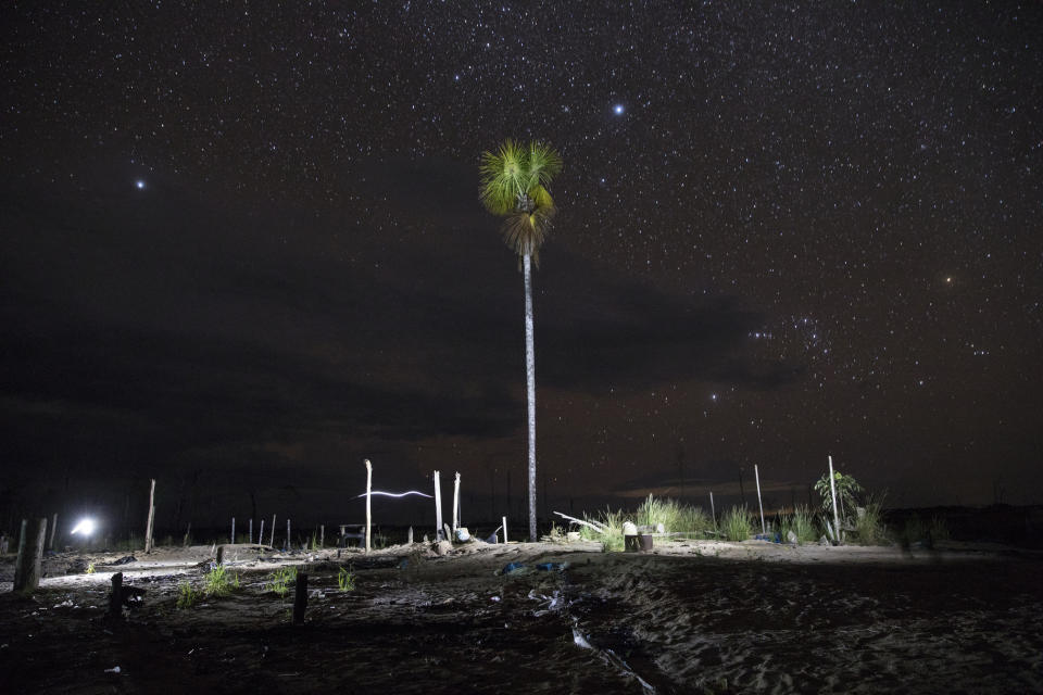 In this March 31, 2019 photo made with a long exposure and artificial light, a tree stands in a former mining camp seized by police in Peru's Tambopata province. The area known by miners as "La Pampa," which surrounds a national park and doesn't appear on state maps, has yielded roughly 25 tons of illegally mined gold a year, much more than the legally produced amount in the same area, according to the Peruvian government. (AP Photo/Rodrigo Abd)