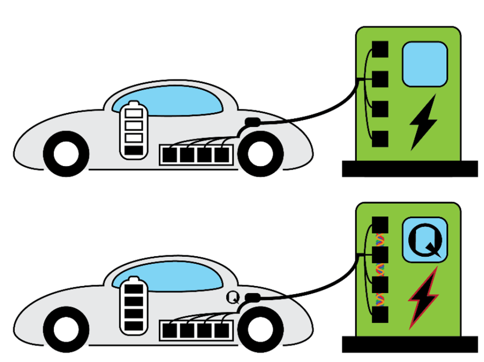 Quantum charging would cut charge times at charging stations from 30 mins to 90 seconds (Institute for Basic Science)