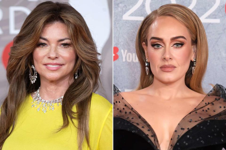 <p>Samir Hussein/WireImage; David M. Benett/Dave Benett/Getty</p> Shania Twain and Adele