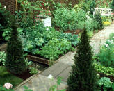 <p> There's great news for those who want to grow their own but don't necessarily like a rustic garden style: you can have a more formal-looking garden and still grow plenty of veg. Choose more upmarket paving and dot your garden with a few sculptural plants like cypress or box hedge, and you'll have a space that is both smart-looking and functional. </p>
