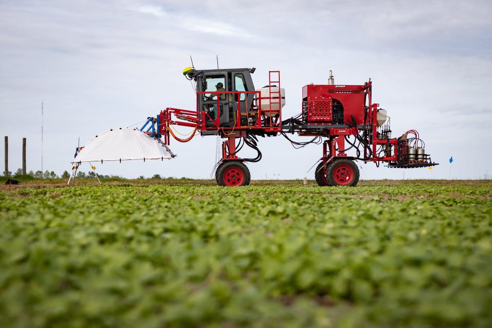 The Phenogator at the University of Florida's Institute of Food and Agricultural Sciences North Florida Research and Education Center collects data in the field that can later be analyzed using artificial intelligence.