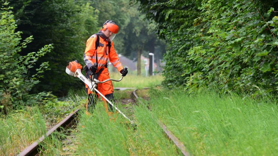 Geht es nach dem Verband Deutscher Verkehrsunternehmen und der Allianz pro Schiene, dann sollen viele stillgelegte Nebenstrecken möglichst bald wieder ans Netz gehen.