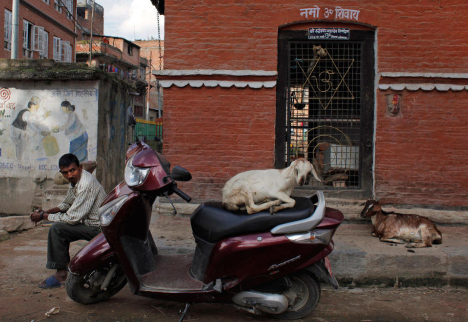 <p>A Nepalese man sits outside a Hindu temple as a goat rests on a parked scooter in Khokana, Lalitpur District, Nepal, Monday, Sept. 26, 2016. Writing on the wall offers prayers to Hindu god Shiva. (AP Photo/Niranjan Shrestha)</p>