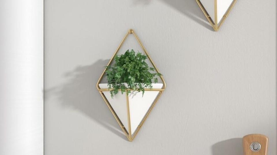 Best Wayfair gifts: Wall planters