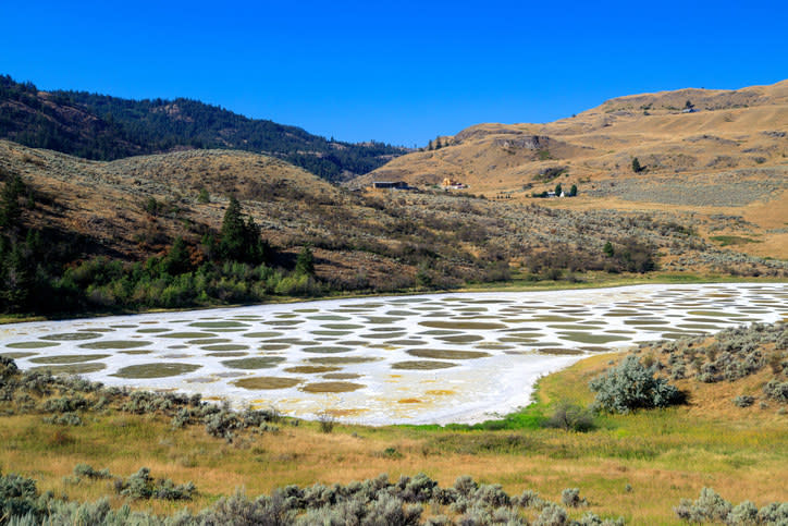 lake with spots