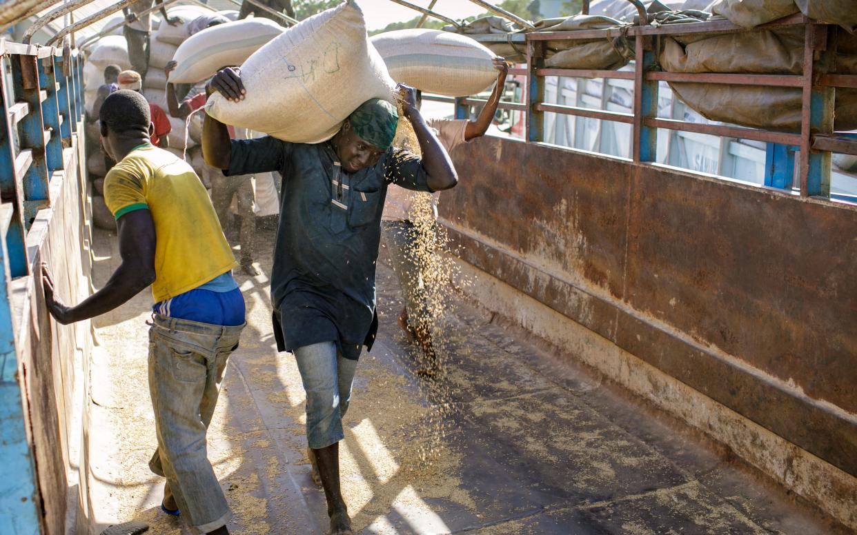 Workers offload sacks of paddy at Labana Rice Mills in Kebbi State, Nigeria - Thomas Imo/photothek.net/GIZ