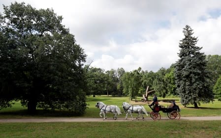 Employees of The National Stud Kladruby nad Labem ride a carriage at a farm in the town of Kladruby nad Labem