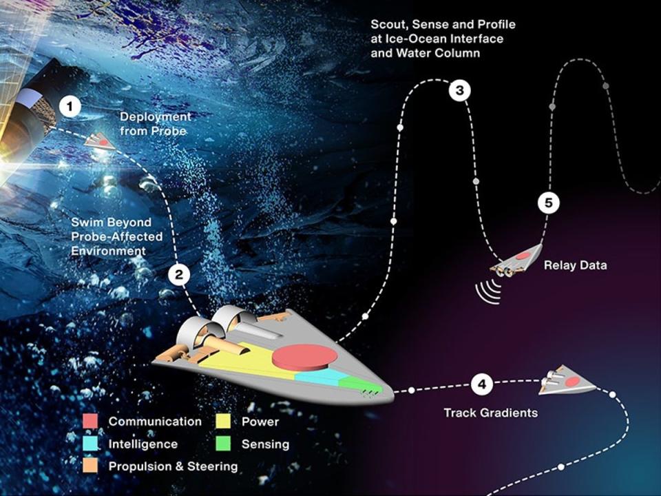 In the Sensing With Independent Micro-Swimmers (SWIM) concept, illustrated here, dozens of small robots would descend through the icy shell of a distant moon via a cryobot – depicted at left – to the ocean below. The project has received funding from the Nasa Innovative Advanced Concepts program (Nasa)