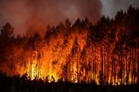 <p>Durant onze jours, près de 20 000 hectares sont ravagés par plusieurs incendies qui ont frappé la Gironde. Des campings ont été intégralement détruits, des milliers de vacanciers évacués... Un véritable drame pour cette région qui mettra des années à panser ses plaies. (Photo THIBAUD MORITZ / AFP)</p> 