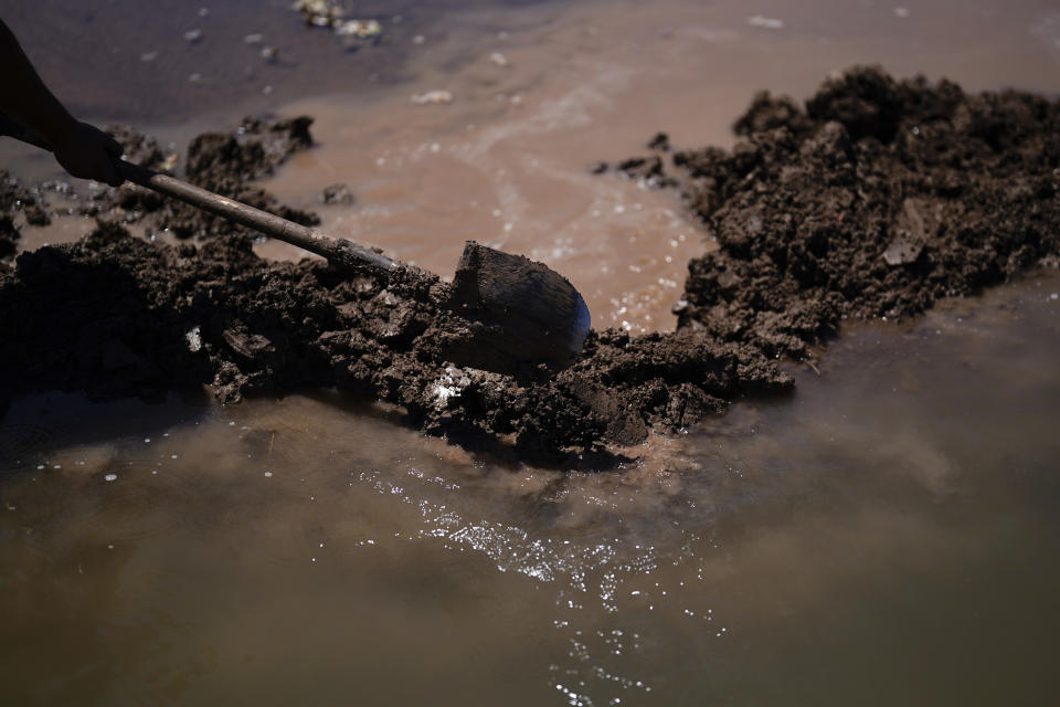 Adan Vallejo blocks water with mud as he irrigates a field of cotton with water from the Colorado River, Sunday, Aug. 14, 2022, near Ejido Mezquital, Mexico. Steep water cuts to U.S. states using Colorado River water are looming, which means that Mexico could face more cuts, too. (AP Photo/Gregory Bull)