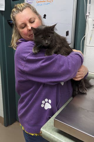 <p>Niagara SPCA</p> A Niagara SPCA employee holding the long-haired cat found abandoned in a pillowcase