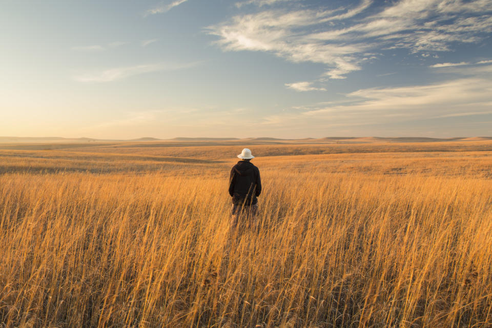 A person with their back turned looks out onto the serene Tallgrass Prairie.