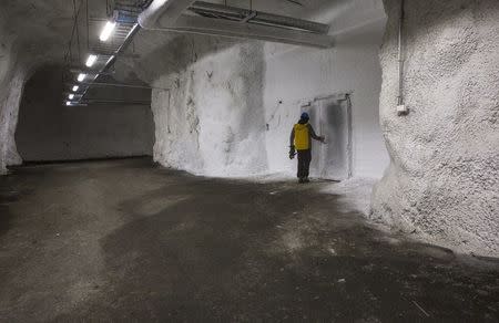 A worker opens the iced entrance door to storeroom 1 at international gene bank Svalbard Global Seed Vault (SGSV) near Longyearbyen on Spitsbergen, Norway, October 20, 2015. REUTERS/Anna Filipova