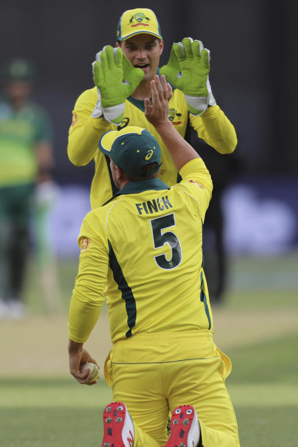 Australia's Aaron Finch celebrates with wicketkeeper Alex Carey after he caught South Africa's South Africa's Heinrich Klaasen during their one-day international cricket match in Perth, Sunday, Nov. 4, 2018. (AP Photo/Trevor Collens)