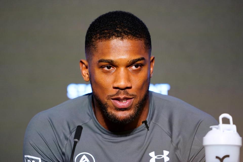 Anthony Joshua could fight Francis Ngannou in the future (PA Archive)
