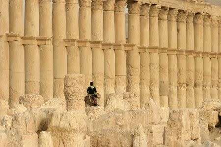 A boy rides a camel in the historical city of Palmyra, Syria, June 12, 2009. REUTERS/Gustau Nacarino