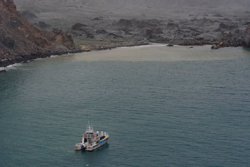 Rescue crew are seen at the White Island volcano in New Zealand