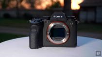 <p>Sony A1 review: The Alpha of mirrorless cameras</p> 