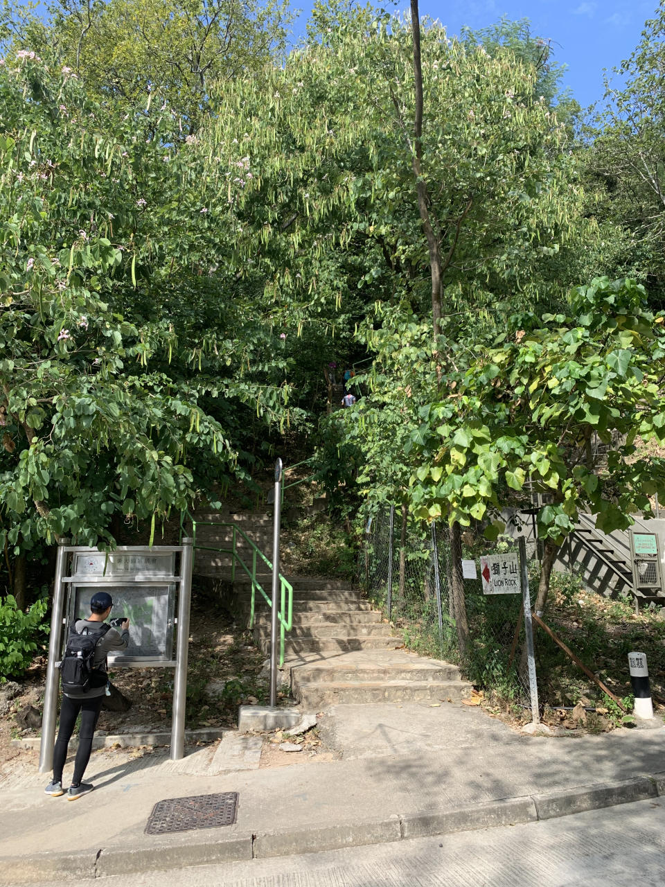 行山路線｜筆架山簡易三小時登山徑！俯瞰九龍半島景色