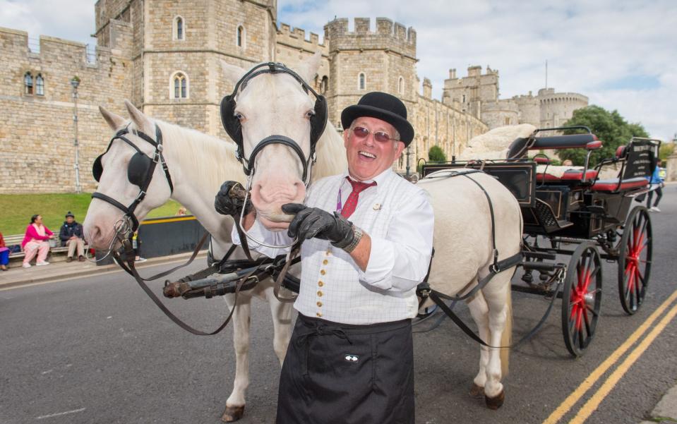 Peter Langthorne with Vic and Silver on Castle Hill - Fiona Hanson