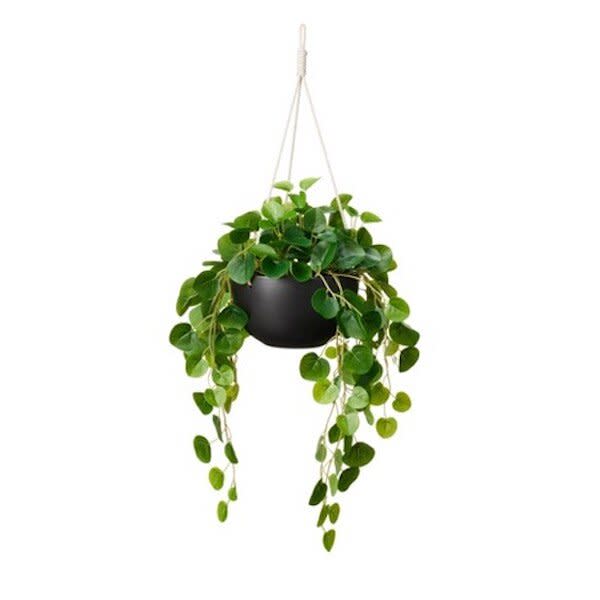 Hilton Carter Target String of Hearts faux plant