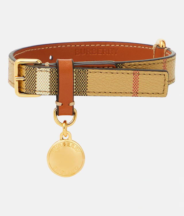 Authentic Gucci Web Stripe Dog Leash and Collar Leather Nylon Vintage  Classic