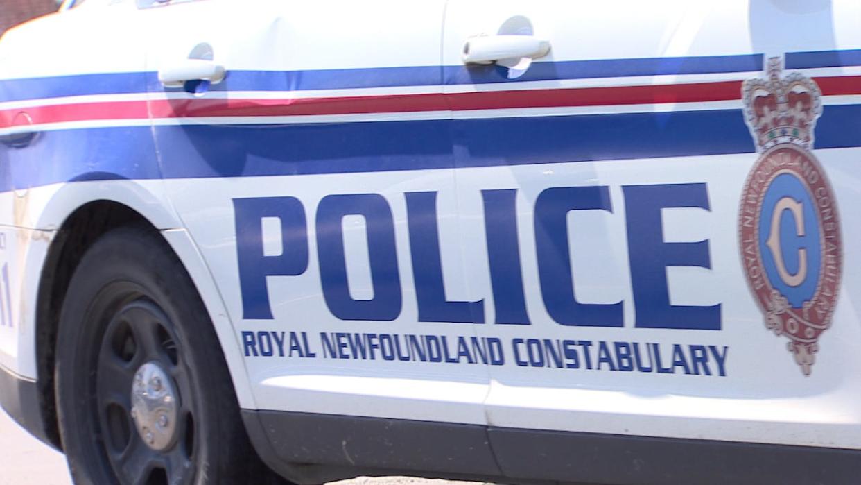 The Royal Newfoundland Constabulary made seven arrests in a 24-hour period starting on Thursday, including three instances where officers were allegedly assaulted. (CBC - image credit)