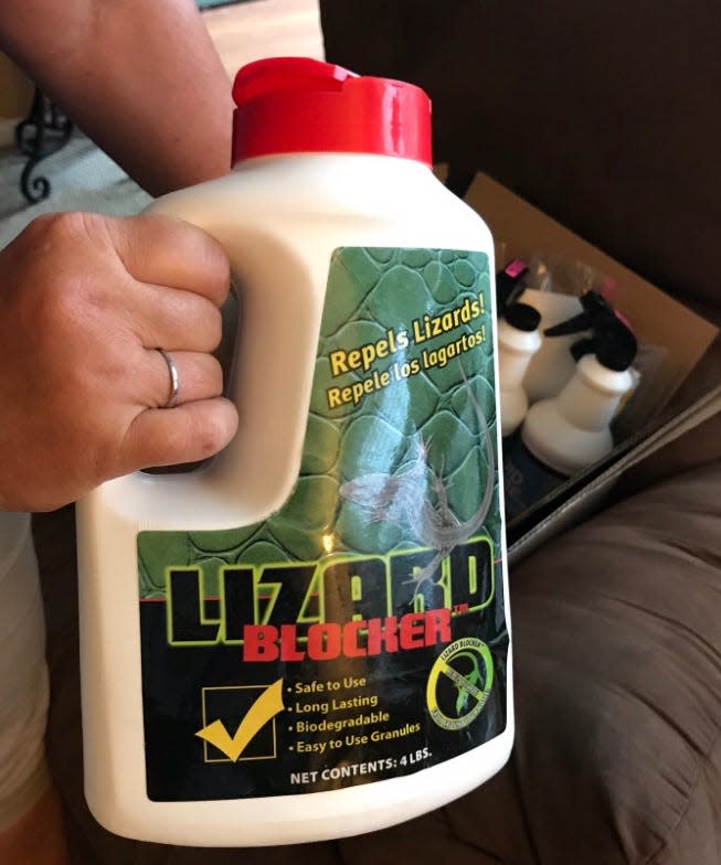 This product is sold online and at home improvement stores, but its effectiveness is iffy. Best way to deal with a   lizard home invasion is through depriving Italian wall lizards of their favorite habitats, which is wherever insects thrive.