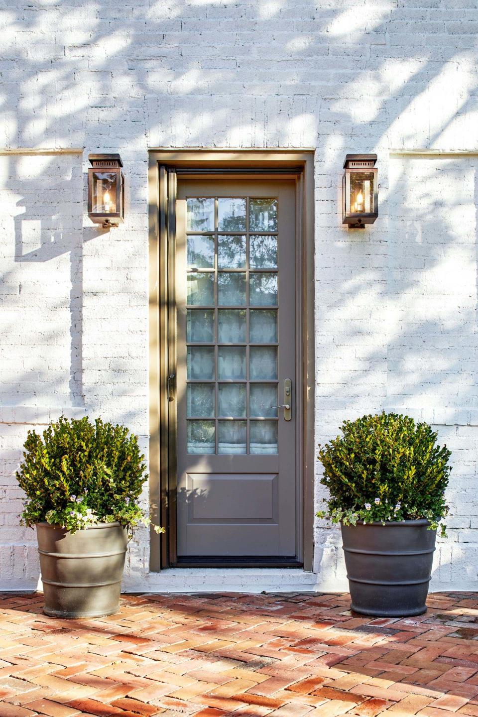 Box plants either side of a black door