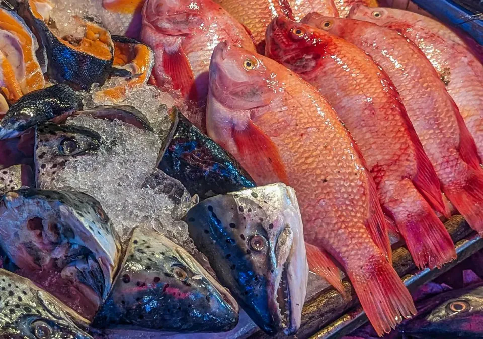 Fish at the market