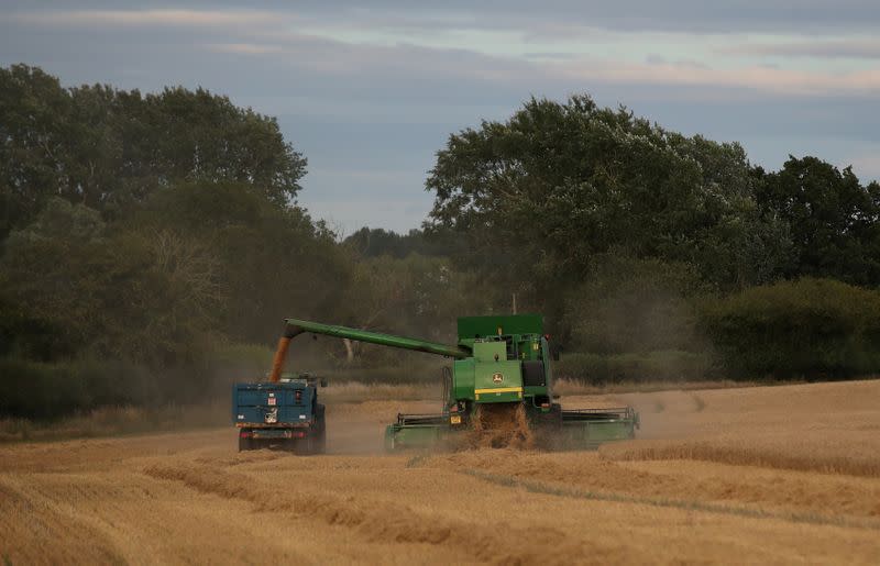 FILE PHOTO: A John Deere combine harvester is seen harvesting winter wheat in a field near Kimpton