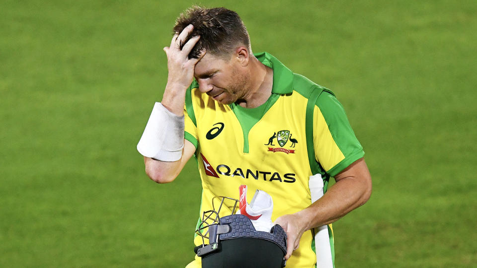 David Warner rubbing his hair and looking frustrated after being dismissed.